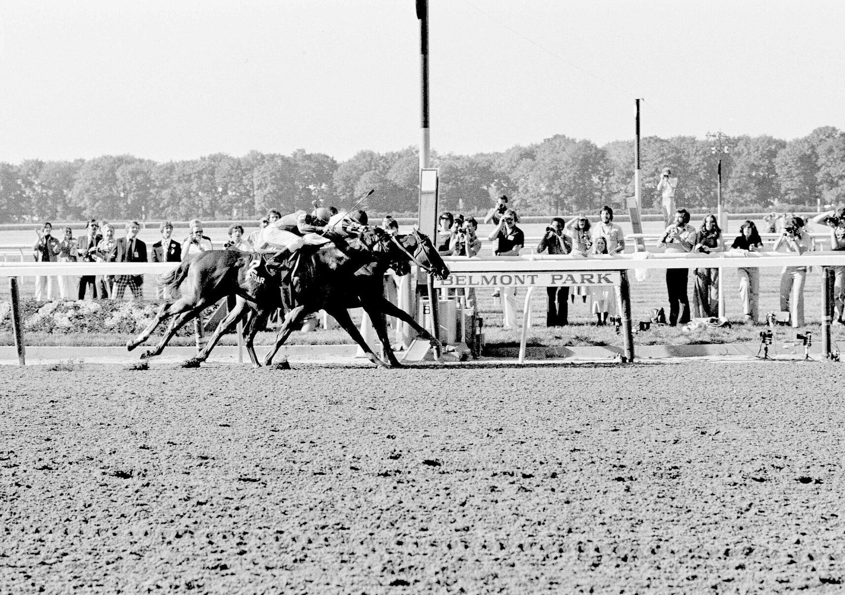 1978: Affirmed